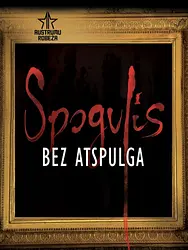 Spogulis bez atspulga