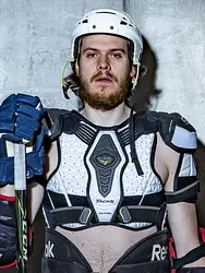 Ledus garša