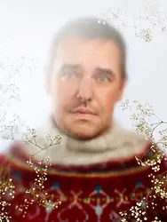 Egles stāsti