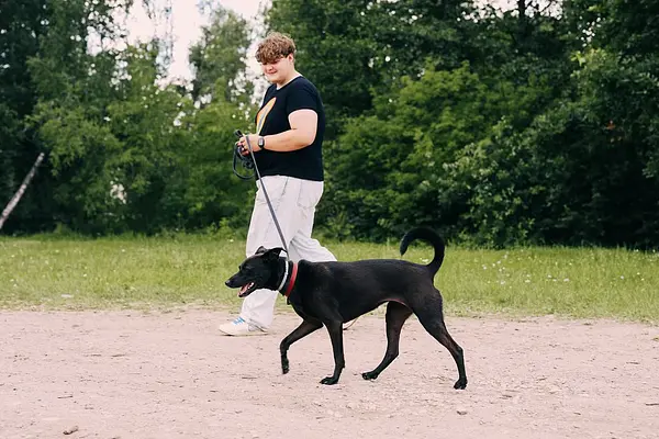 Tagad Strenčos