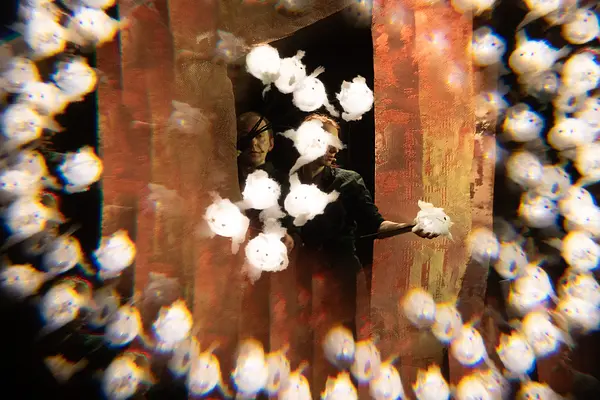 Sūniņas mājupceļš