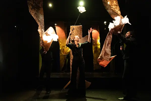 Sūniņas mājupceļš