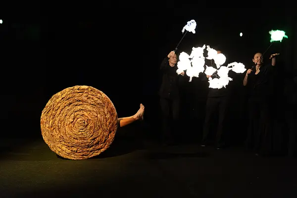 Sūniņas mājupceļš