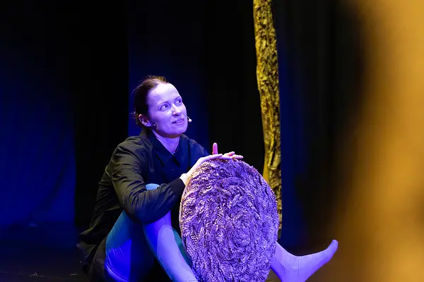 Sūniņas mājupceļš