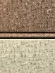 Es esmu tas, kas paliek pāri