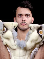 Zelta zirgs