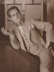 Pildspalva